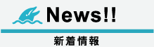 news 新着情報