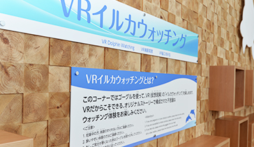 VRイルカウォッチング