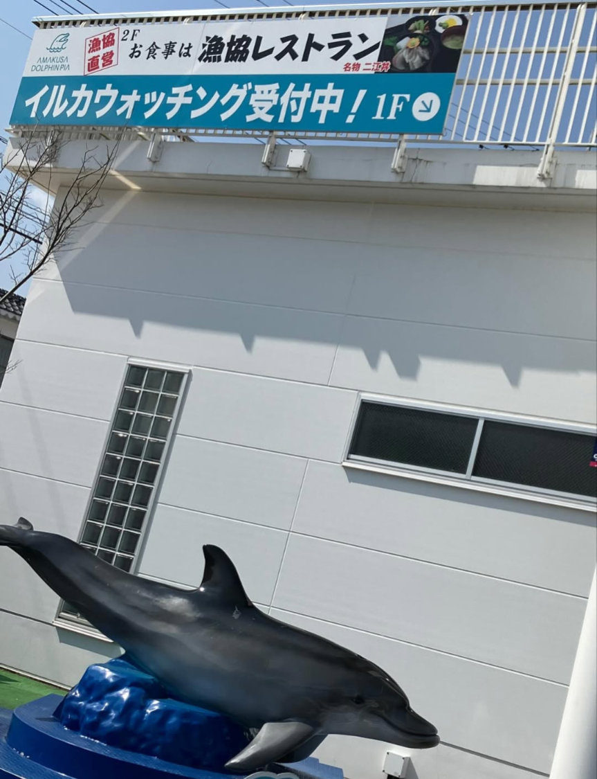 イルカセンター / 天草市イルカセンター