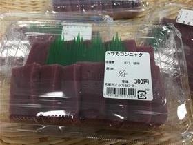 トサカコンニャクいまだけイルカセンターで販売しています。